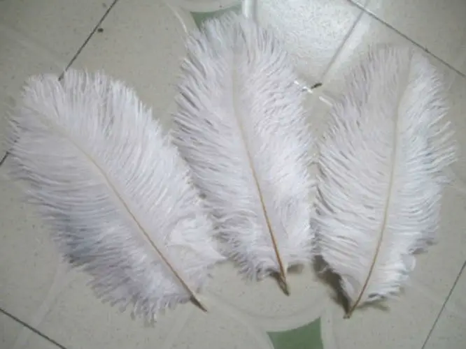

Colorful 15-20 Cm Ostrich Feather Plumes For Wedding Centerpiece Wedding Party Event Decor Festive Decoration