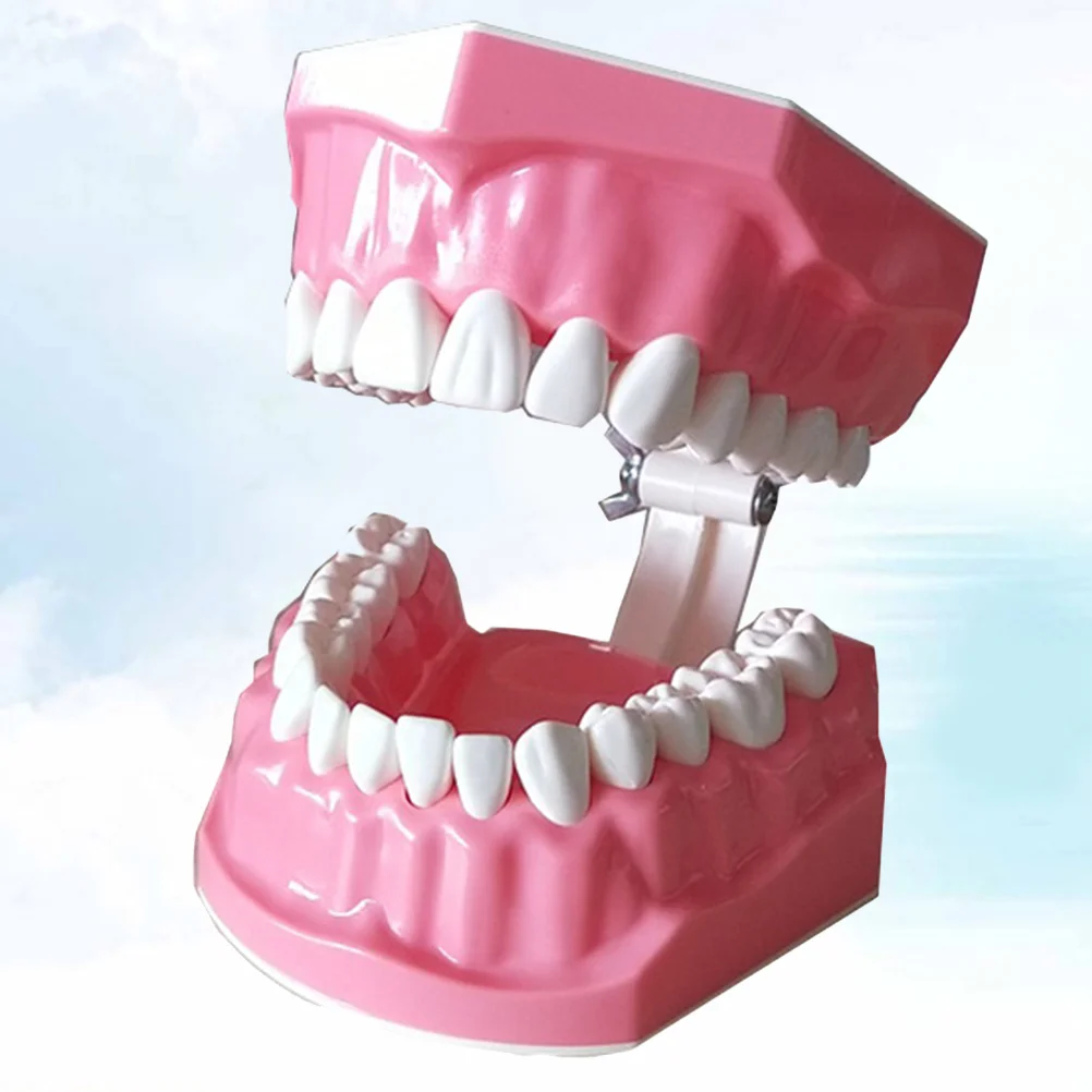 

1 Pc Model Sturdy Prime Model for Kindergarten Home