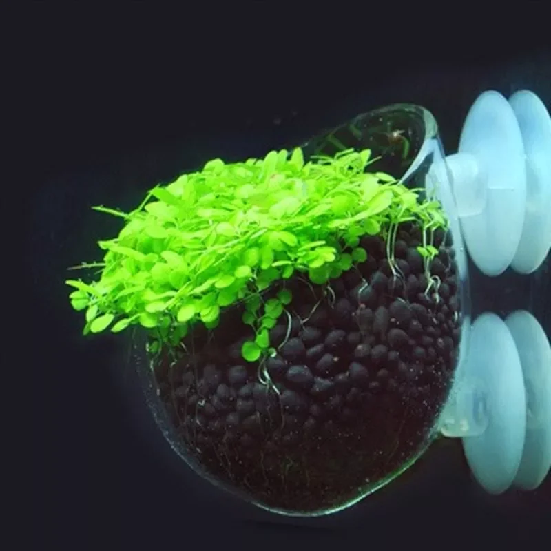 

Aquarium Aecoration Grass Planting Pot Decoration Fish Tank Plant Moss Coral Cylinder Cup Decor Acuario Ornament for Grass Plant