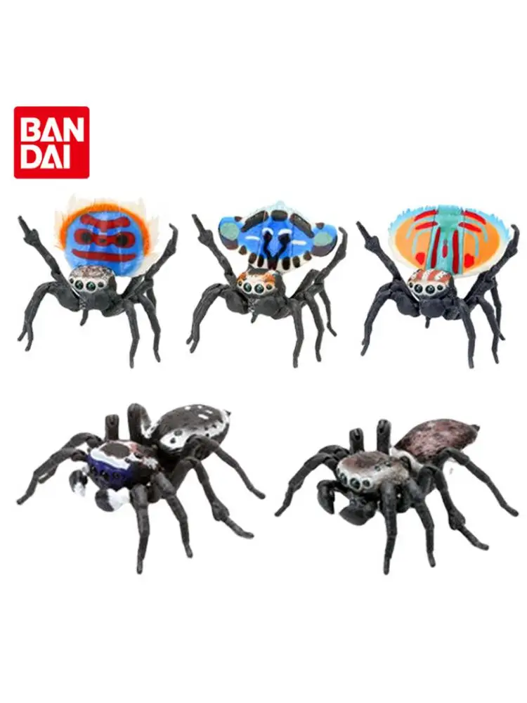 

Оригинальная имитация гасяпона, биографическая книга, павлин, паук, ядовитый паук, прыгающий паук, экшн-фигурка, игрушки