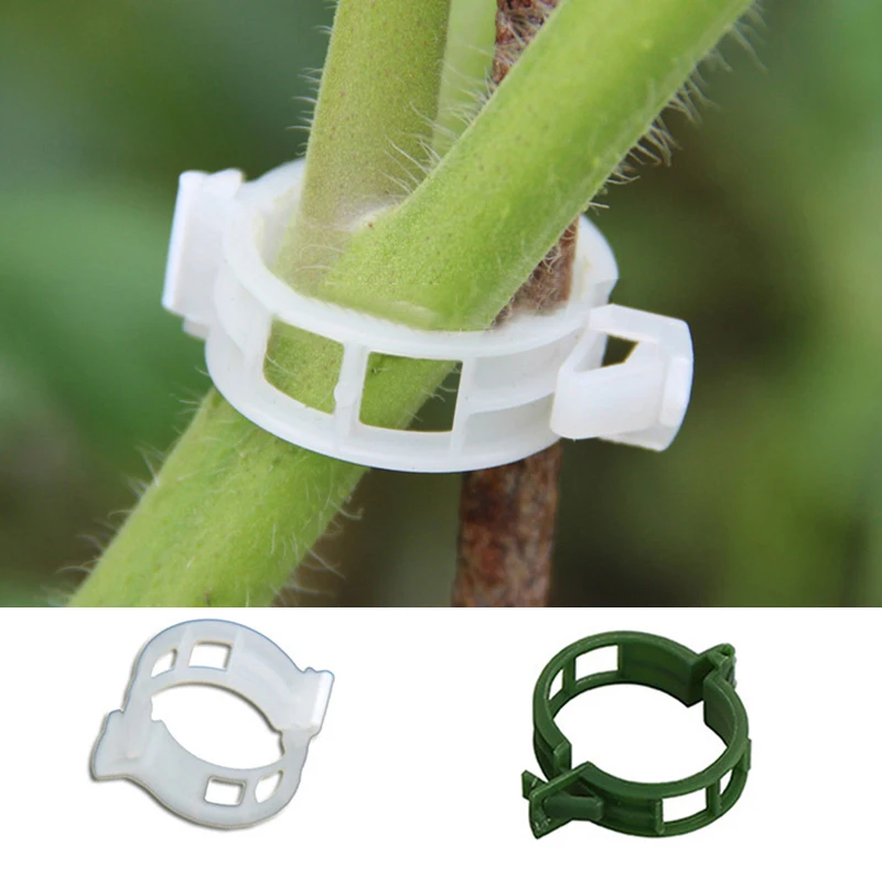 

Tomato Veggie Garden Clips Plastic Clips Plant Support Tools Twine Useful Trellis Twine Clips Securing clip