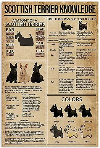 Scottish Terrier Knowledge Art Wall Decor Retro Metal Tin Signs Anatomy Of A Scottish Terrier Printed Poster Pet Shop Bar School