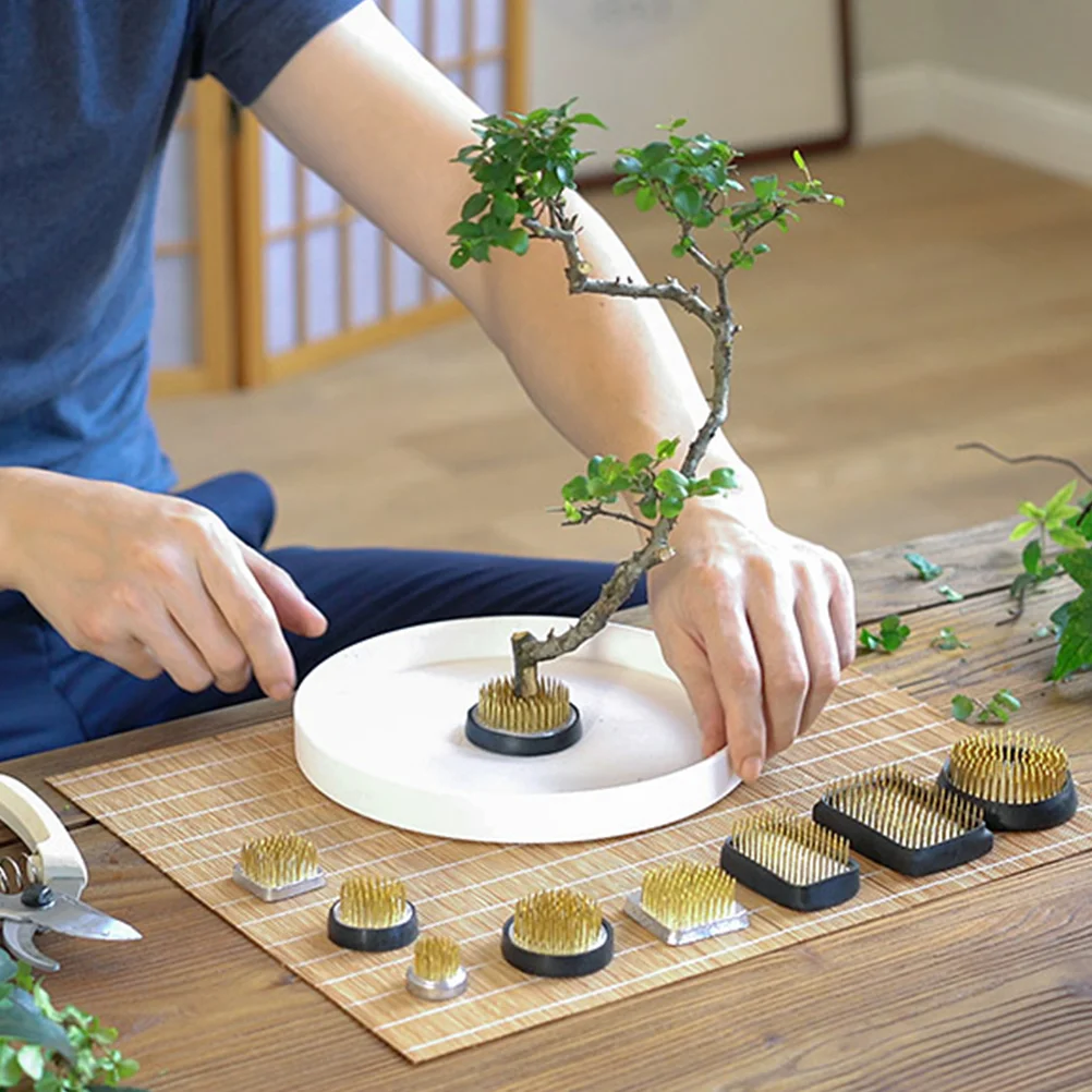 34-миллиметровый мольберт держатель для цветов круглая подставка лягушки