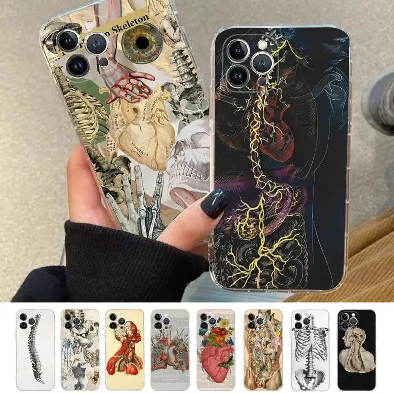 

Medical Human Anatomy Phone Case For iPhone 8 7 6 6S Plus X SE 2020 XR XS 14 11 12 13 Mini Pro Max Mobile Case