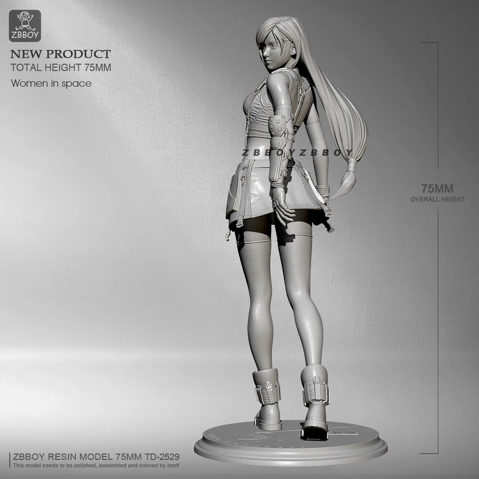 

75mm Fati Looking Back Resin Soldier TD-2529