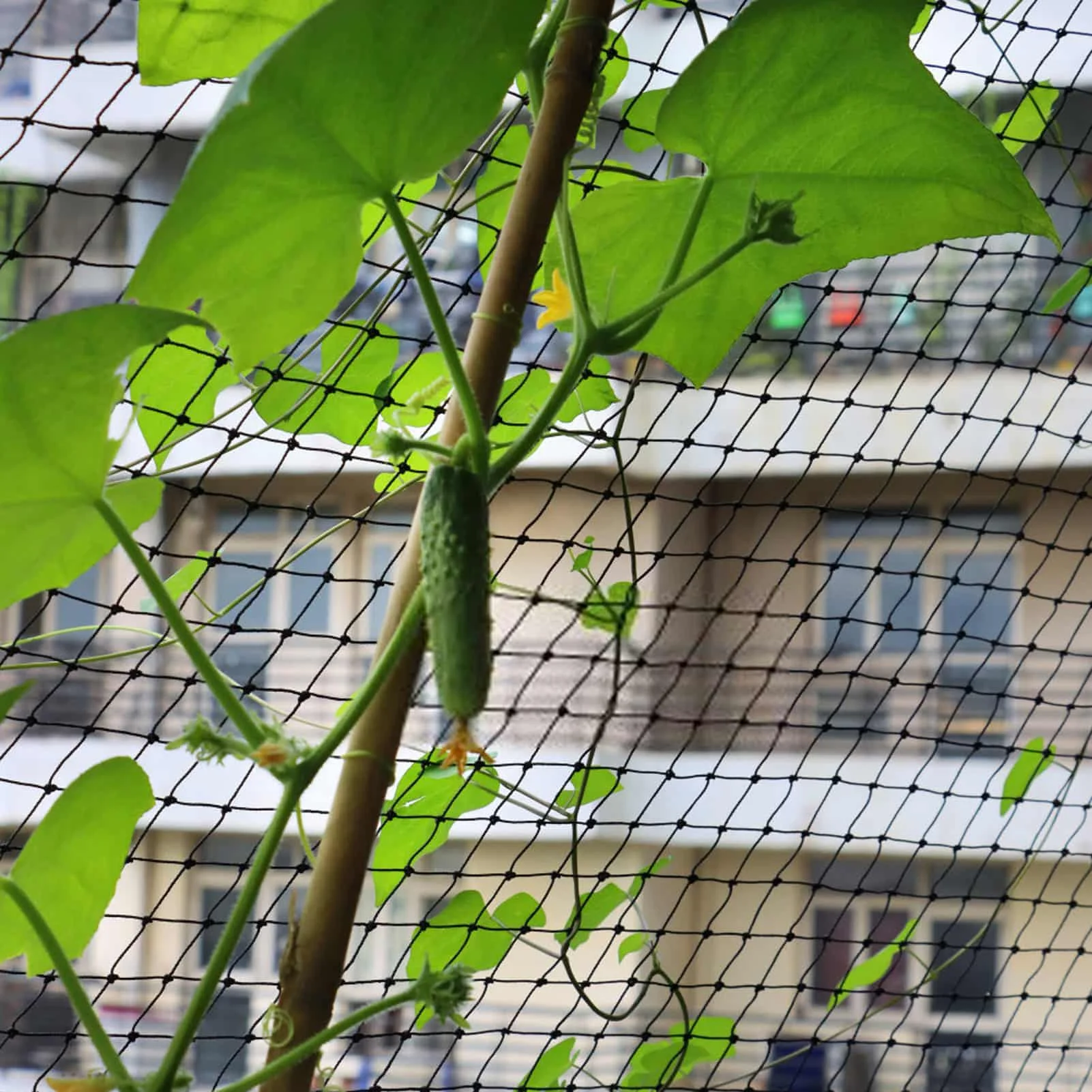

Сетка для птиц, многоразовая защитная сетка для сада, защита от птиц