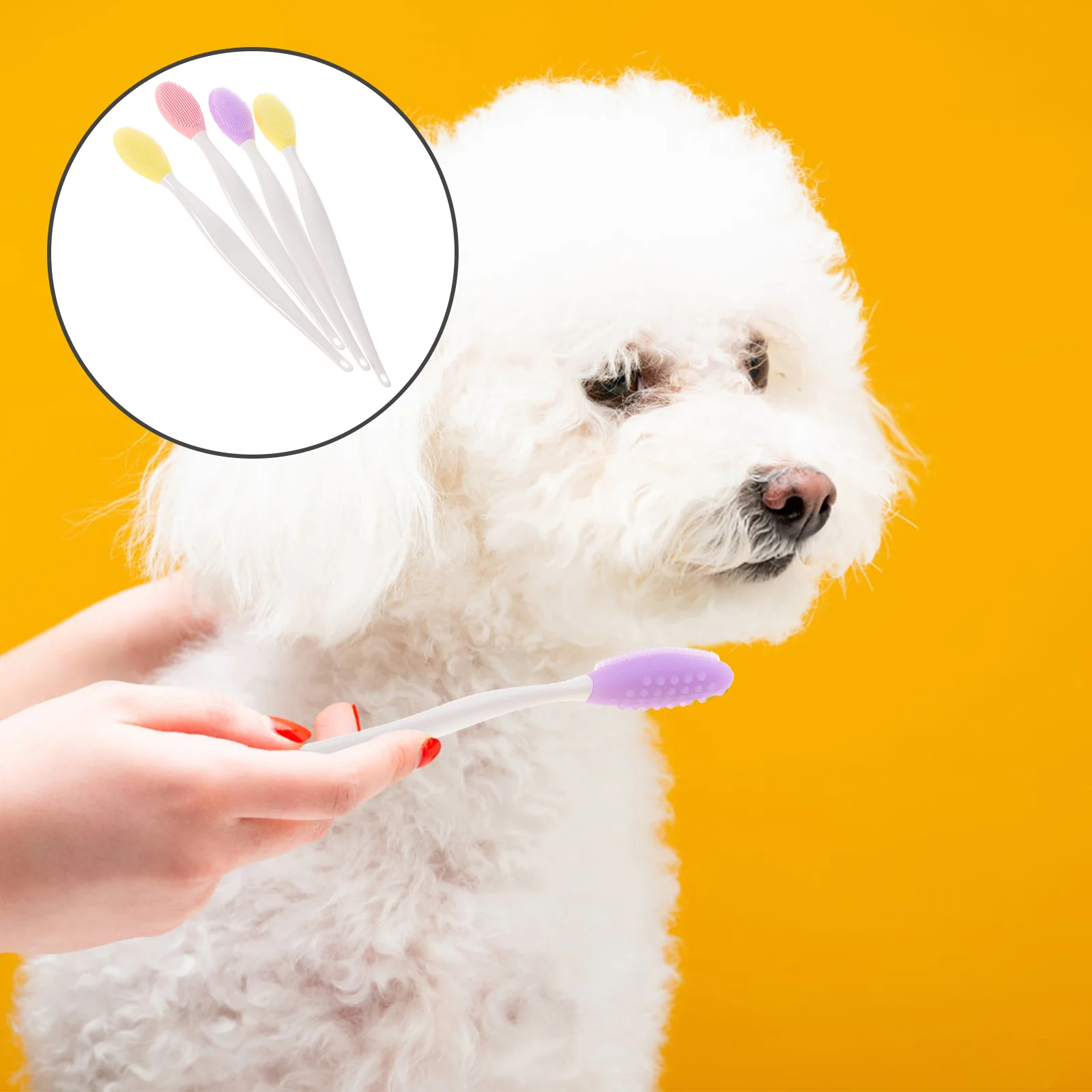 

Cat- 4pcs Silicone Cat Double- Sided Brushes Grooming Tool Supplies