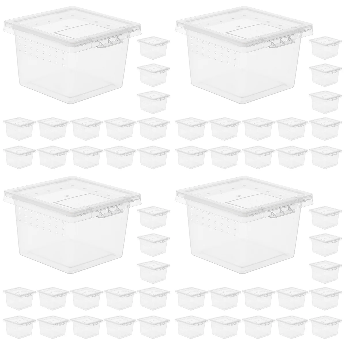 

80 Pcs Decorative Clear Household Reptile Holder Box Breeding Box Box Feeding Snake Cage for Storage Home Breeding