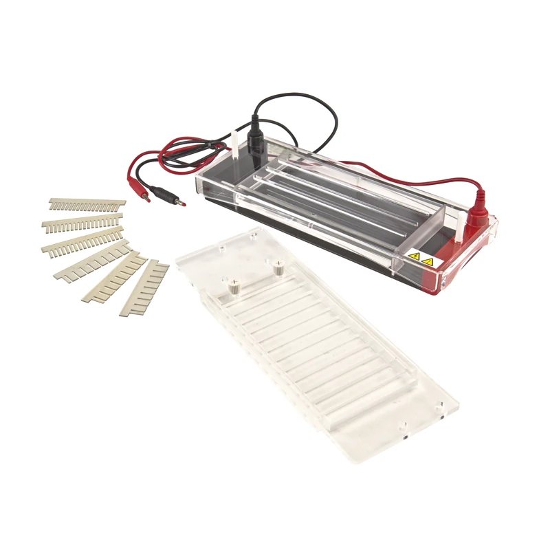 

Horizontal Electrophoresis Tank for Test DNA/RNA