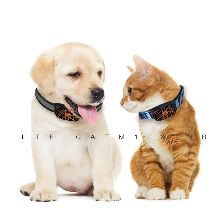 

Wholesale Pet Collar GEO Fence No Subscription No Monthly Fee 4G NBIOT GPS Tracker Dogs
