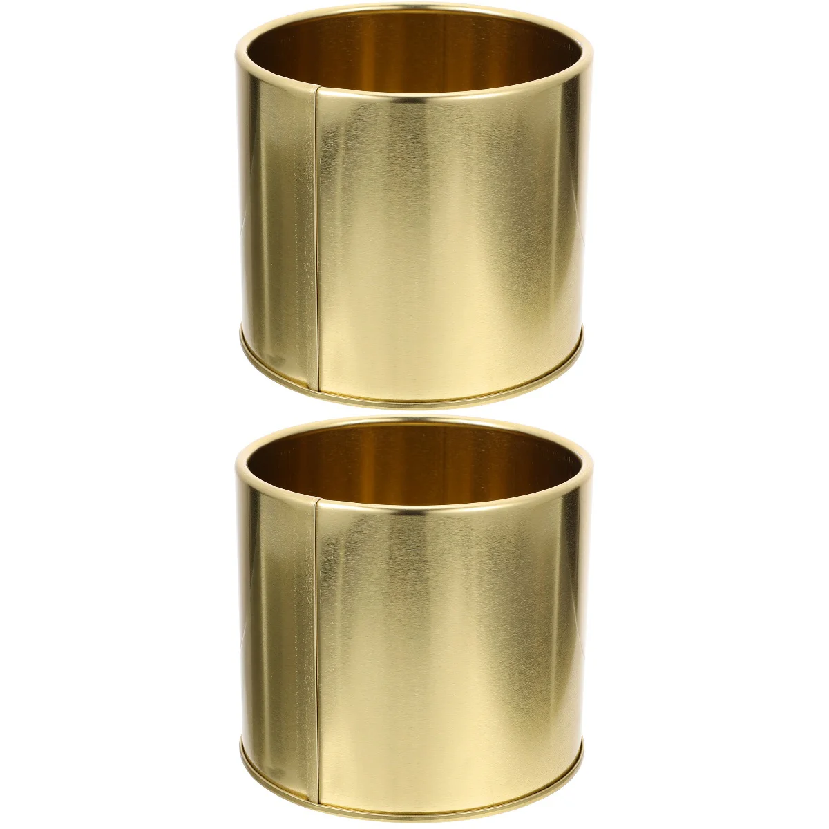 

Set 2 Golden Iron Bucket Flower Pot Creative Flowerpot Home Planter Indoor Pots Chic Garden Decor Simple Plants