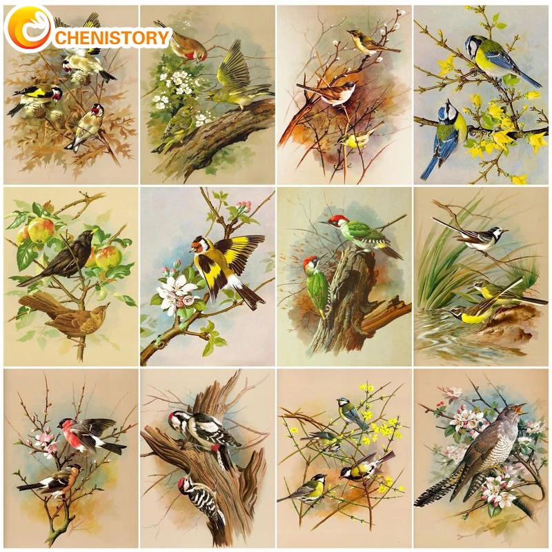 

CHENISTORY 60X75cm DIY Paint By Numbers Bird Frameless Oil Painting By Numbers Scenery Digital Hand Painting On Canvas Decor