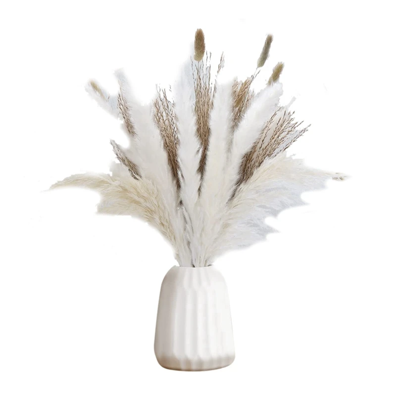 

Pampas Grass 20 Pcs Nature White Pampas Grass, 15 Pcs Dried Reed, 15 Pcs Bunny Tail Grass, 3 Pcs White Reed, Home Decor
