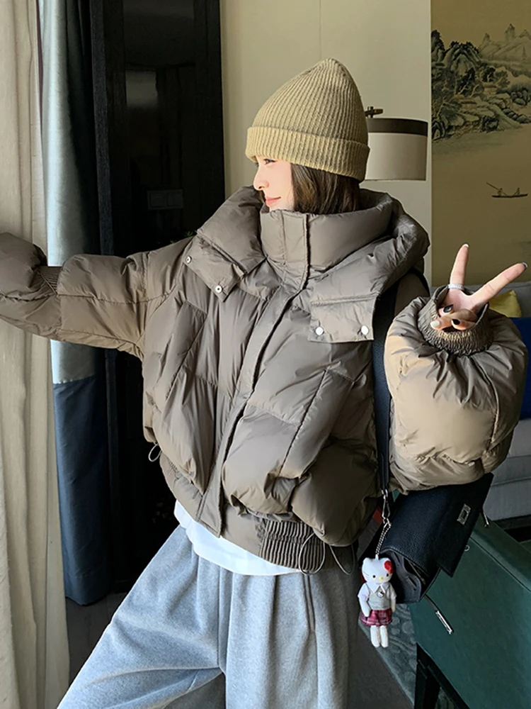 Maillard Short Down jacket Women's Winter 2024 New Small Fashion Western Sle down Coat Hoodie