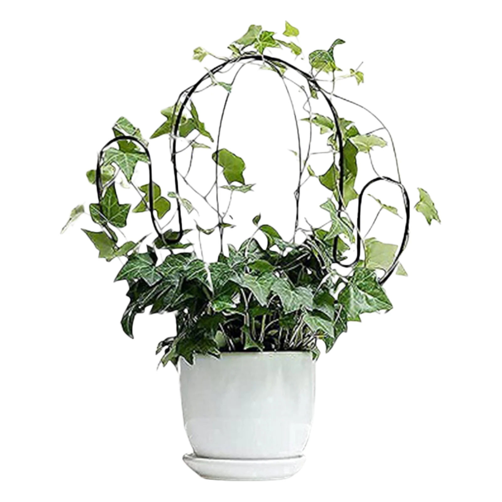 

Cactus Shaped Metal Plant Trellis Support Wire Decorative Plants Climbing Holder Rack For Potted Plants Flowers Indoor