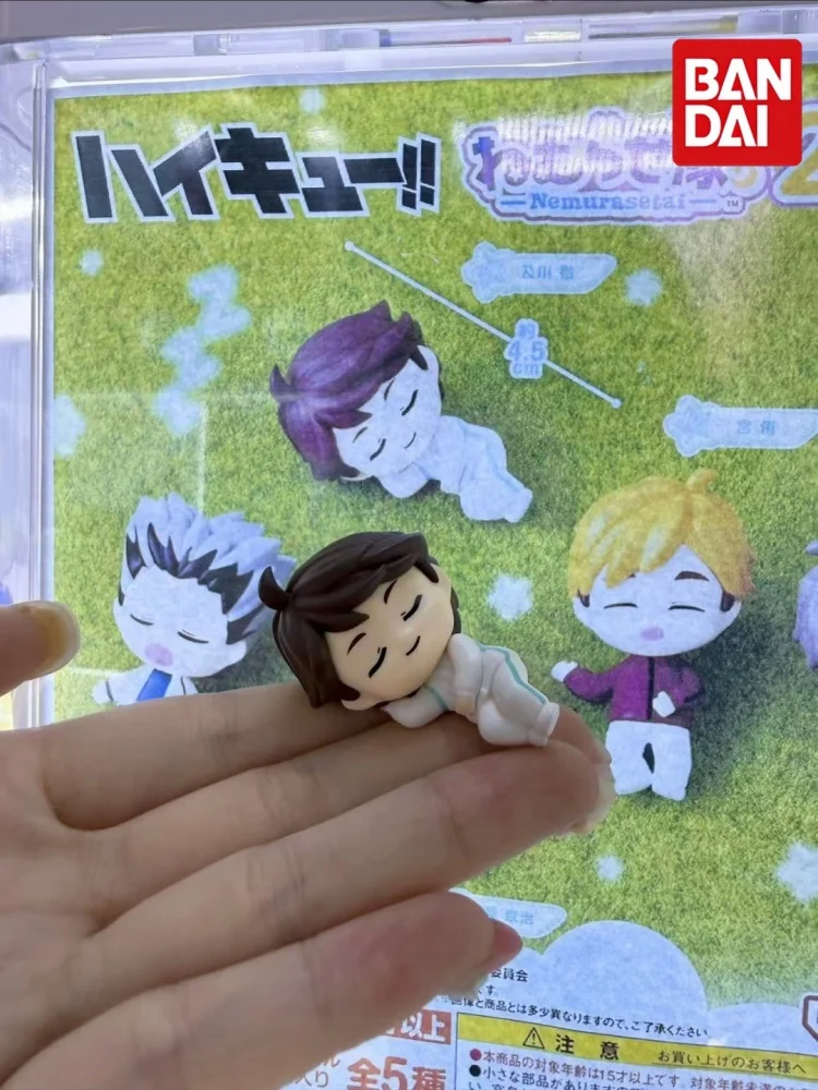 Фото Коллекционные мини-фигурки Bandai Namco Haikyuu Gashapon (спящие персонажи, 4,5 см): Оикава Тоору, Мия Ацуму, Мия Осаму, Бокуто Котаро, Акаши Кэйджи №5