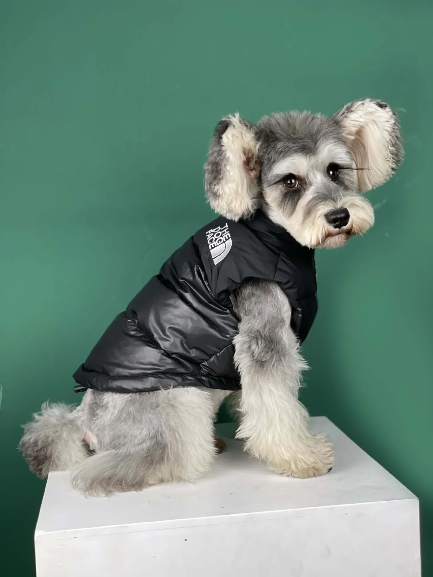 

Dog Clothes Autumn and Winter Pet Clothes French Bulldog Teddy Schnauzer Pomeranian Corgi Pet Black Thick Warm Down Jacket