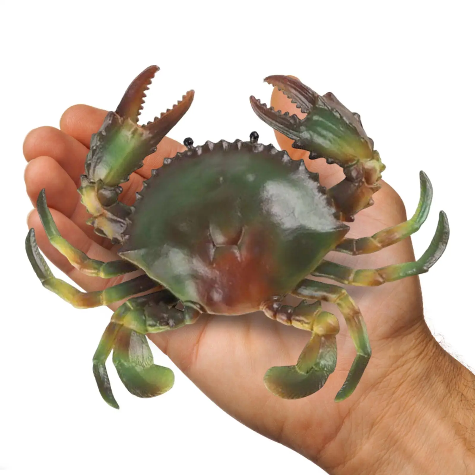 

Реалистичные Мини-фигурки-крабы, модель, обучающая модель животных, фигурки животных, Когнитивная игрушка, аксессуары для подарка на день рождения