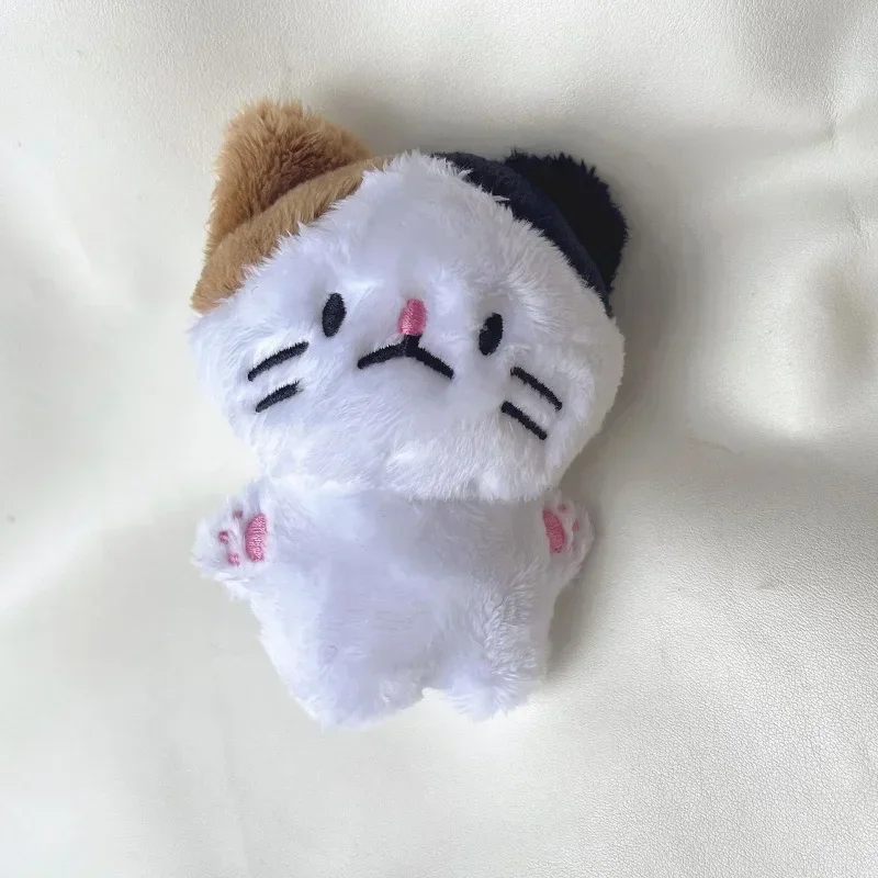 10 см ENHYNegs плюшевые Simmunge JAY JUNGWON HEESEUNG мягкие игрушки брелок Kawaii мультфильм Джейк