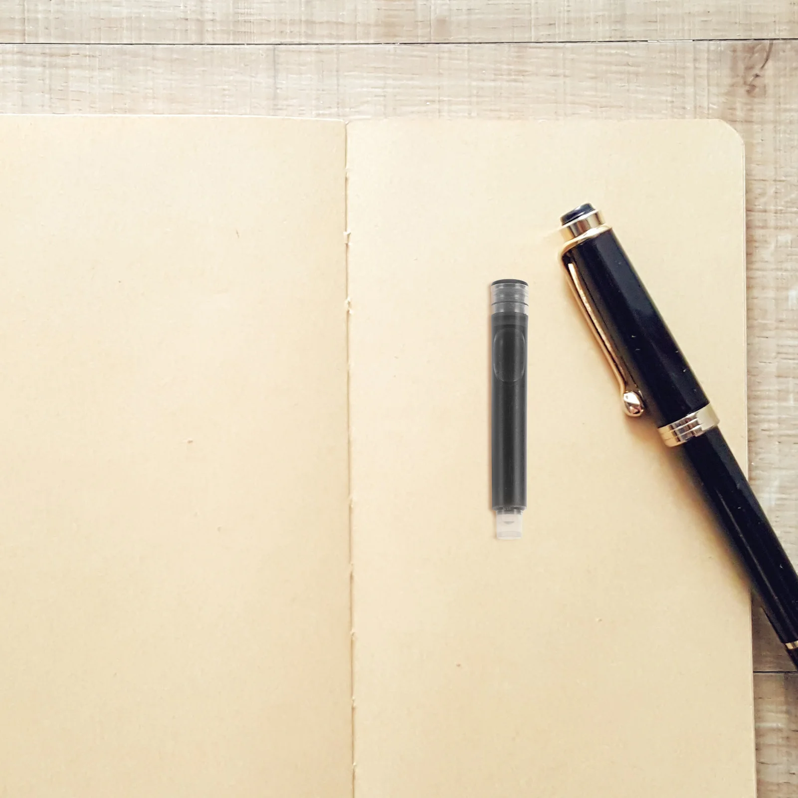 Рисунок 4 - Чернильные картриджи для перьевой ручки