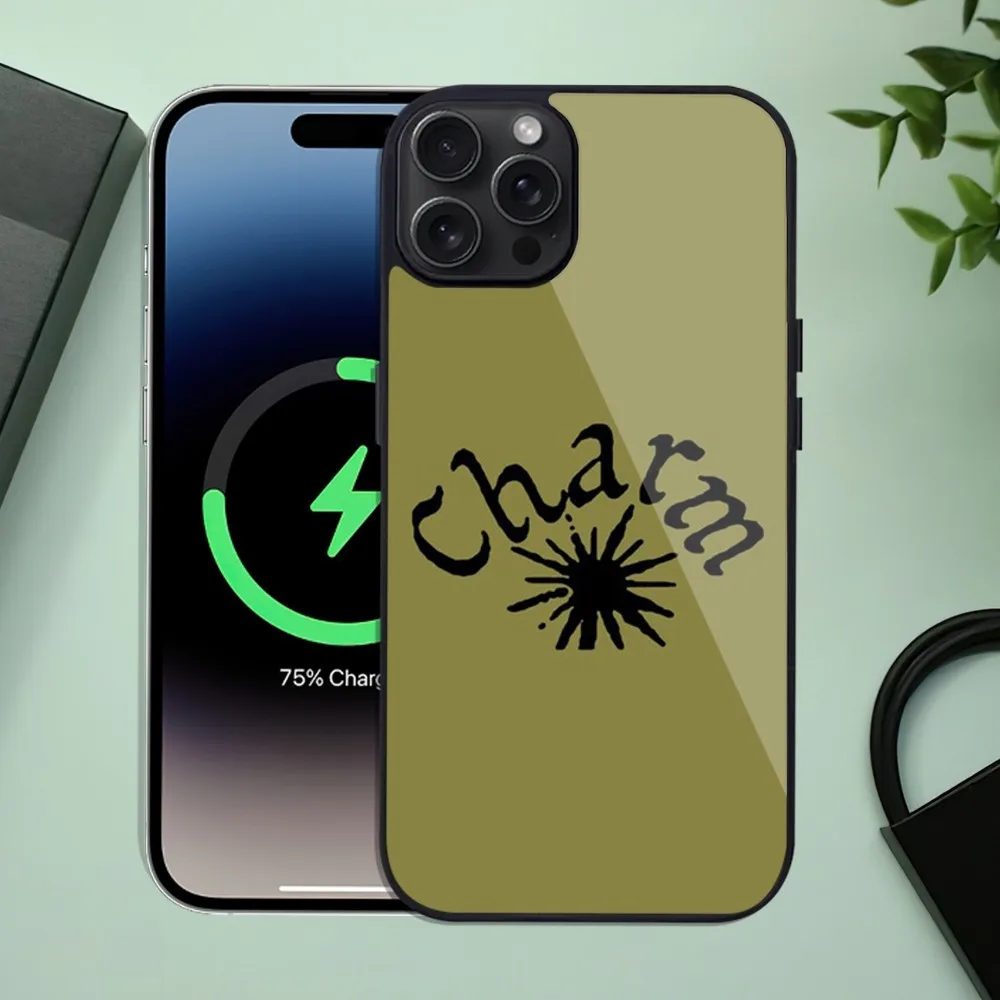 Чехол для iPhone 11 Mini 12 13 Max 14 Plus 15 Pro Magesafe