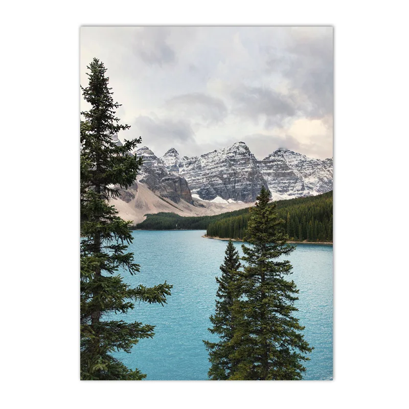 

Настенный постер "Скандинавия, горный лес, туман" ARDOR