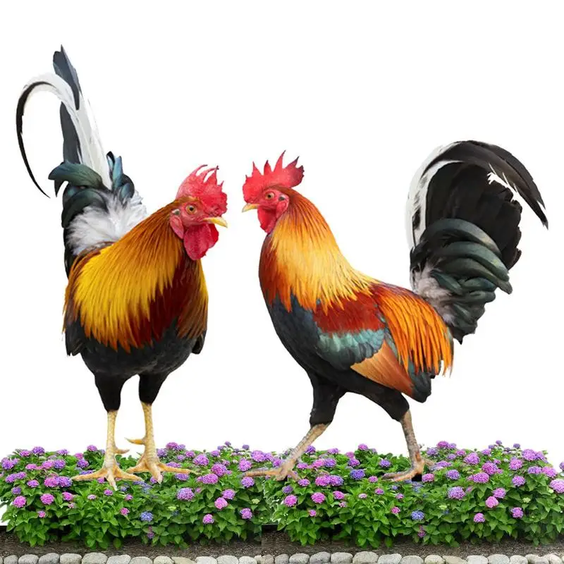 

Rooster Yard Decor Garden Chicken Decorations Outdoor Garden Sculptures & Statues Chicken Ornaments Yard Art For Backyard Patio