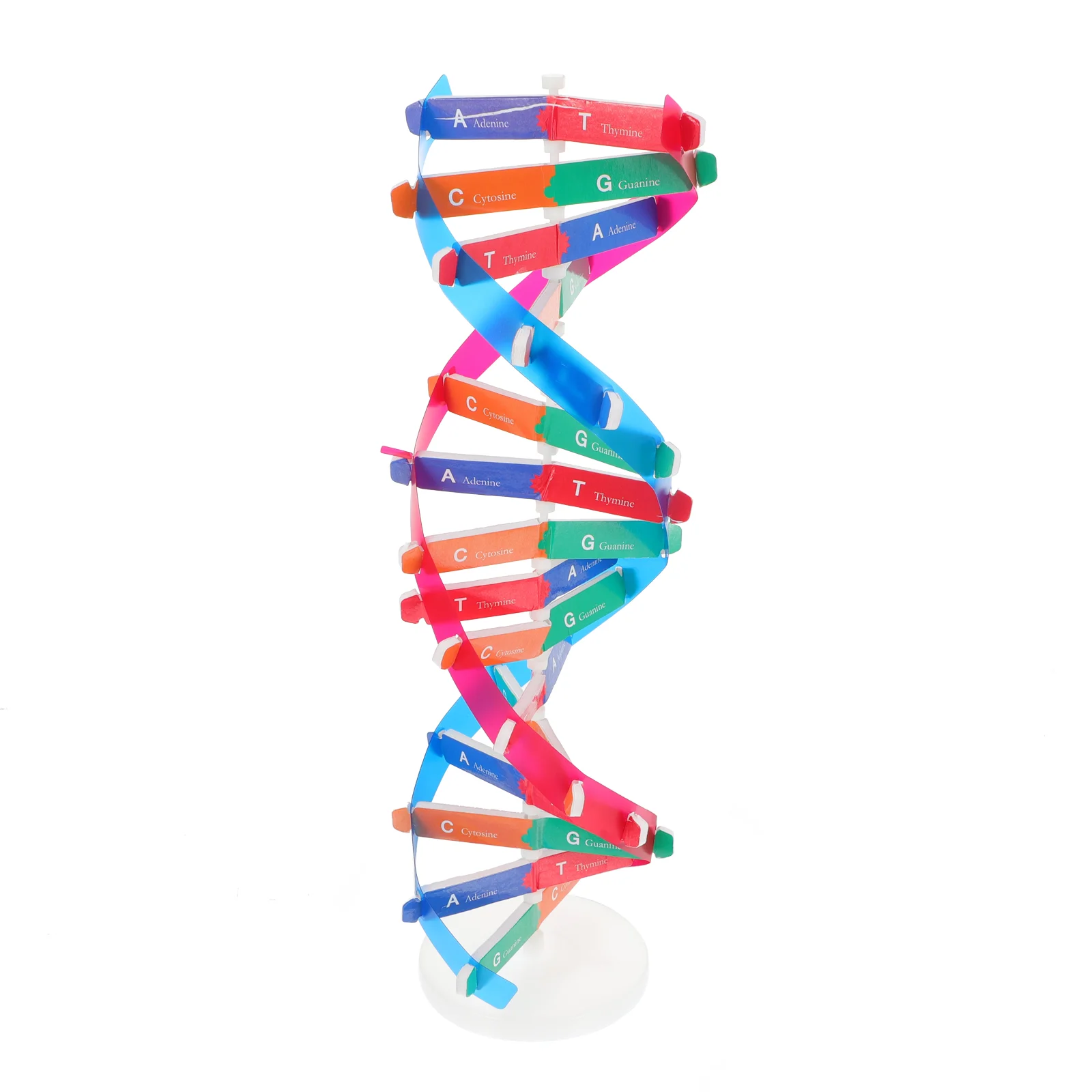 

Модель ДНК с двойной завиткой, детали, учебный инструмент для изучения науки, учебный инструмент в сборе