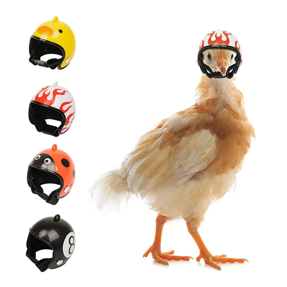 

Pigeon Chicken Helmet Parrot Hat Bird Pet Protective Gear Sunscreen Rain Helmet Toy Bird Small Pet Supplies Clothing Accessories