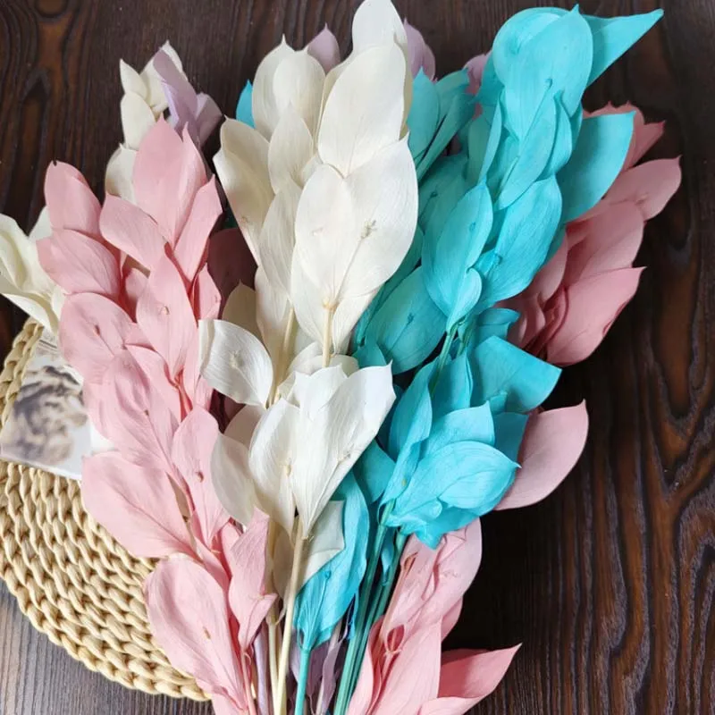 

Natural Preserved Flowers Orange Leaf Dried Flower Lily Bamboo Bouquet Wedding Supplies Decorations Accessories Home Room Decor