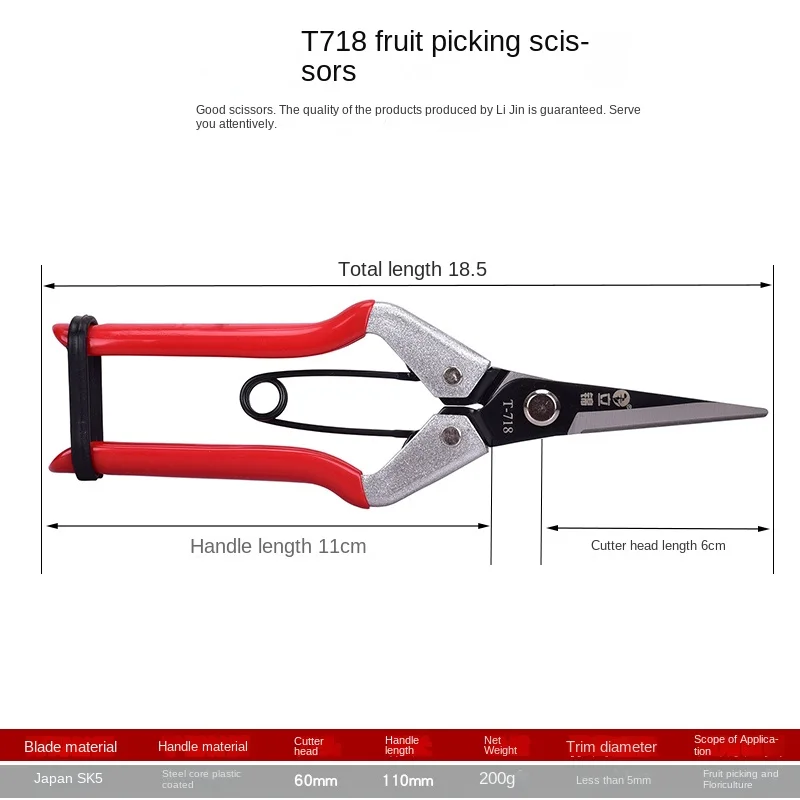 

Fruit Picking Scissors Straight Long Blade Pruning Shear Fruit Picking Sparse Fruit Gardening Scissor Flower Cutting Tree Shears