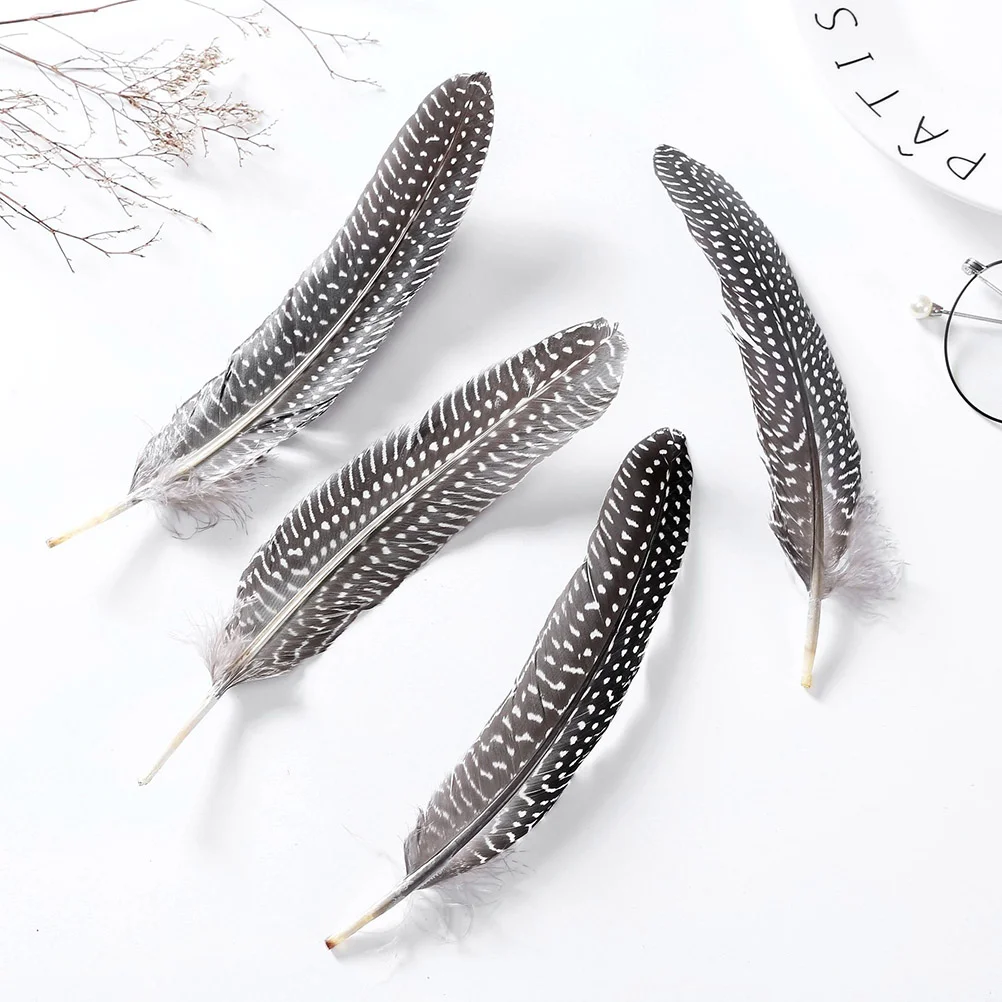 

50PCS Pheasant Real DIY Accessories Crafts Party Decor for Performance