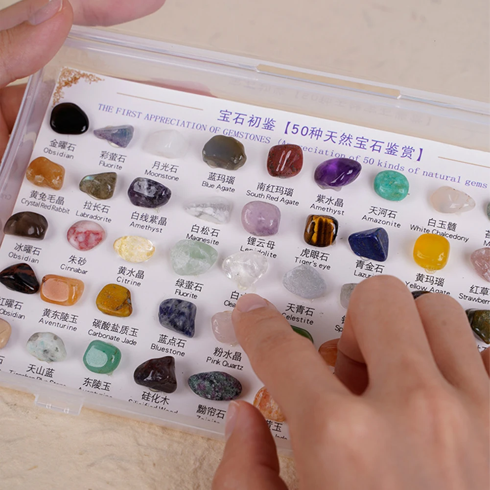 50 шт./коробка декоративная геология