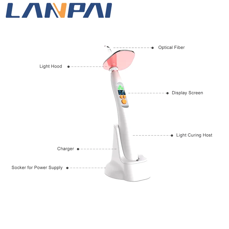 Dental 1 Second Wide Spectrum Led Light Curing With Four Lamp Beads Rotatable Working Head Ultra-High Light Intensity 2800W/cm²