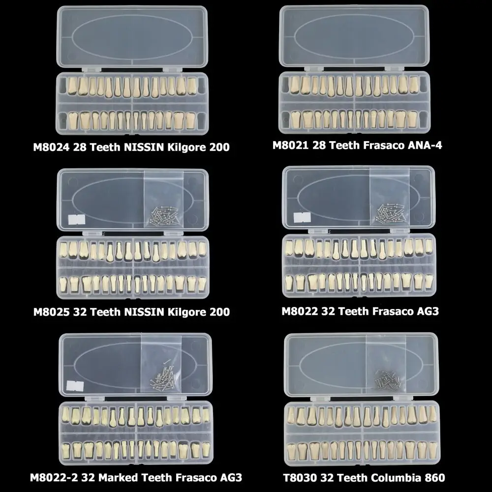 Dental Replacement 28 32 Teeth Typodont Model NISSIN Kilgore Columbia Frasaco