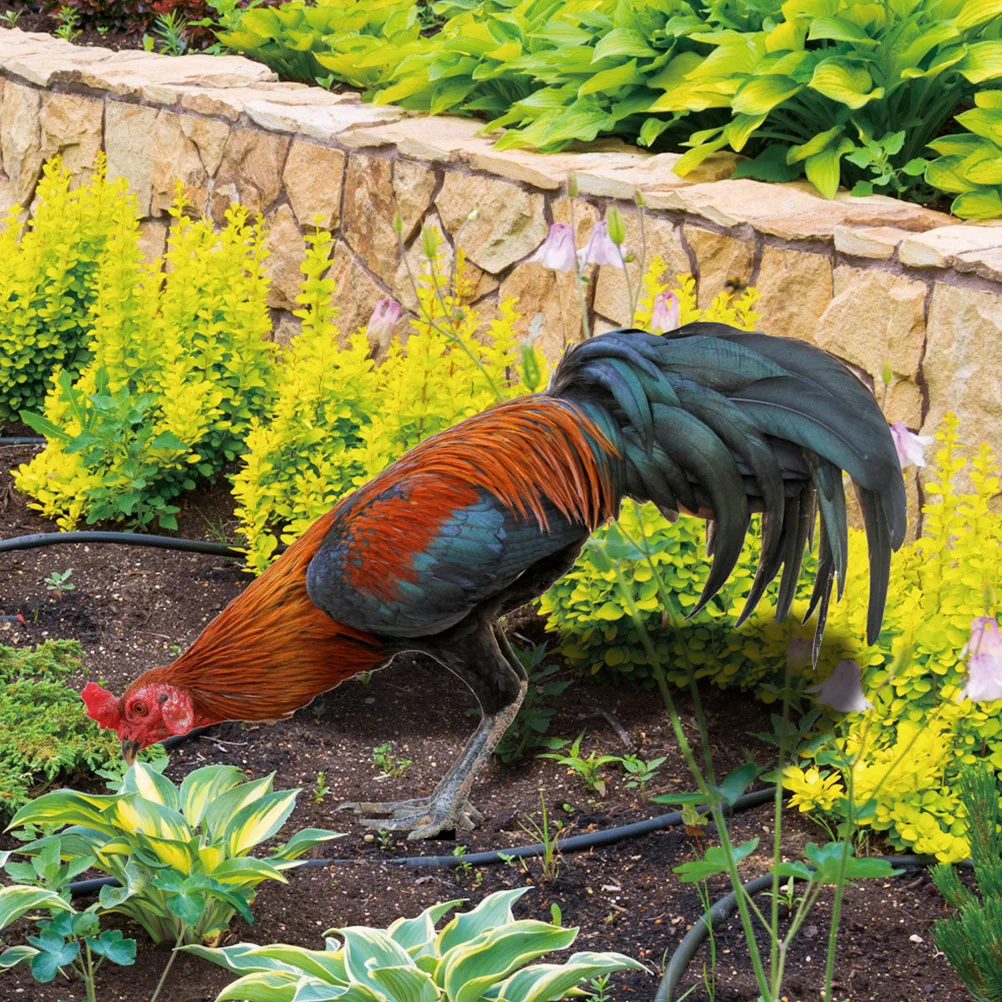 

2Pcs Yard Chicken Yard Stake Garden Chicken Stake Garden Stakes Decorative