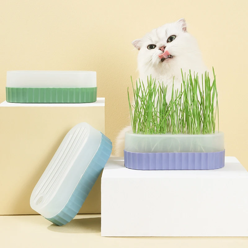 

1PC Pet Cat Sprout Dish Growing Pot Garden Hydroponic Plant Cat Grass Germination Digestion Starter Dish Greenhouse Grow Box