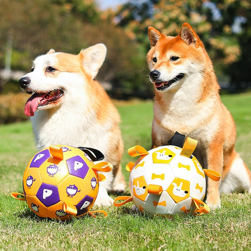 

Outdoor Pet Football Dog Toys Teeth Grinding Interactive Bite Resistant Pet Dog Training Toy Ball Dog Accessories