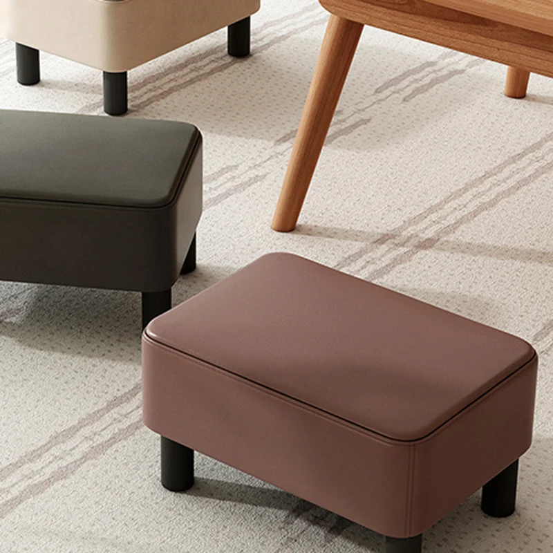 

Modern Minimalist Living Room Sofa Design Foot Stool Entryway Stools For Room Portable Storage Banco Plegable Portatil Chairs