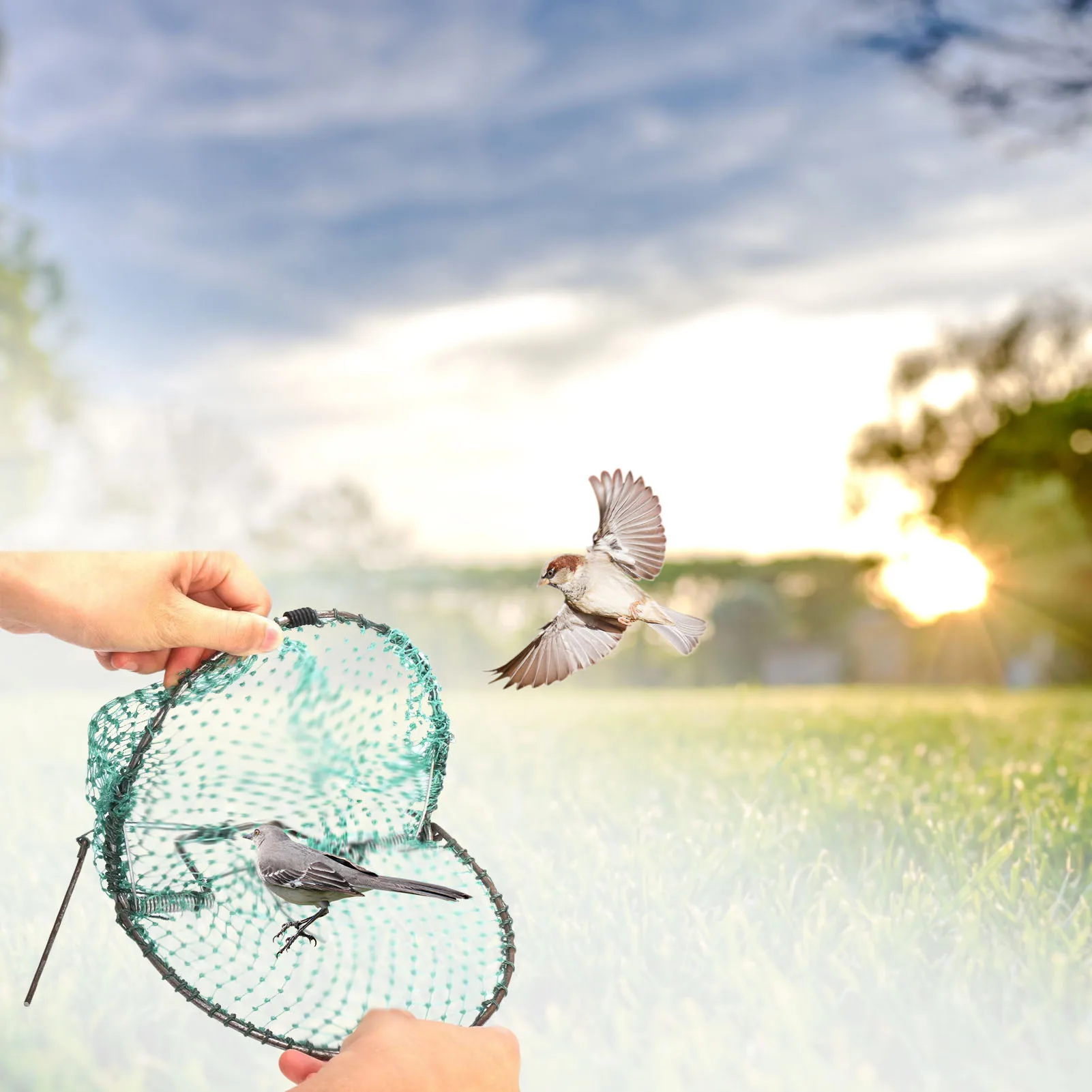 Сеть для птиц гуманная прямая ловушка портативная охотничья сеть ловли