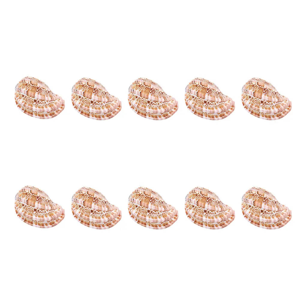 

Водонепроницаемый аквариум, ландшафтный орнамент, износостойкая оболочка, ракушка, домашние украшения для аквариума, для дома и офиса