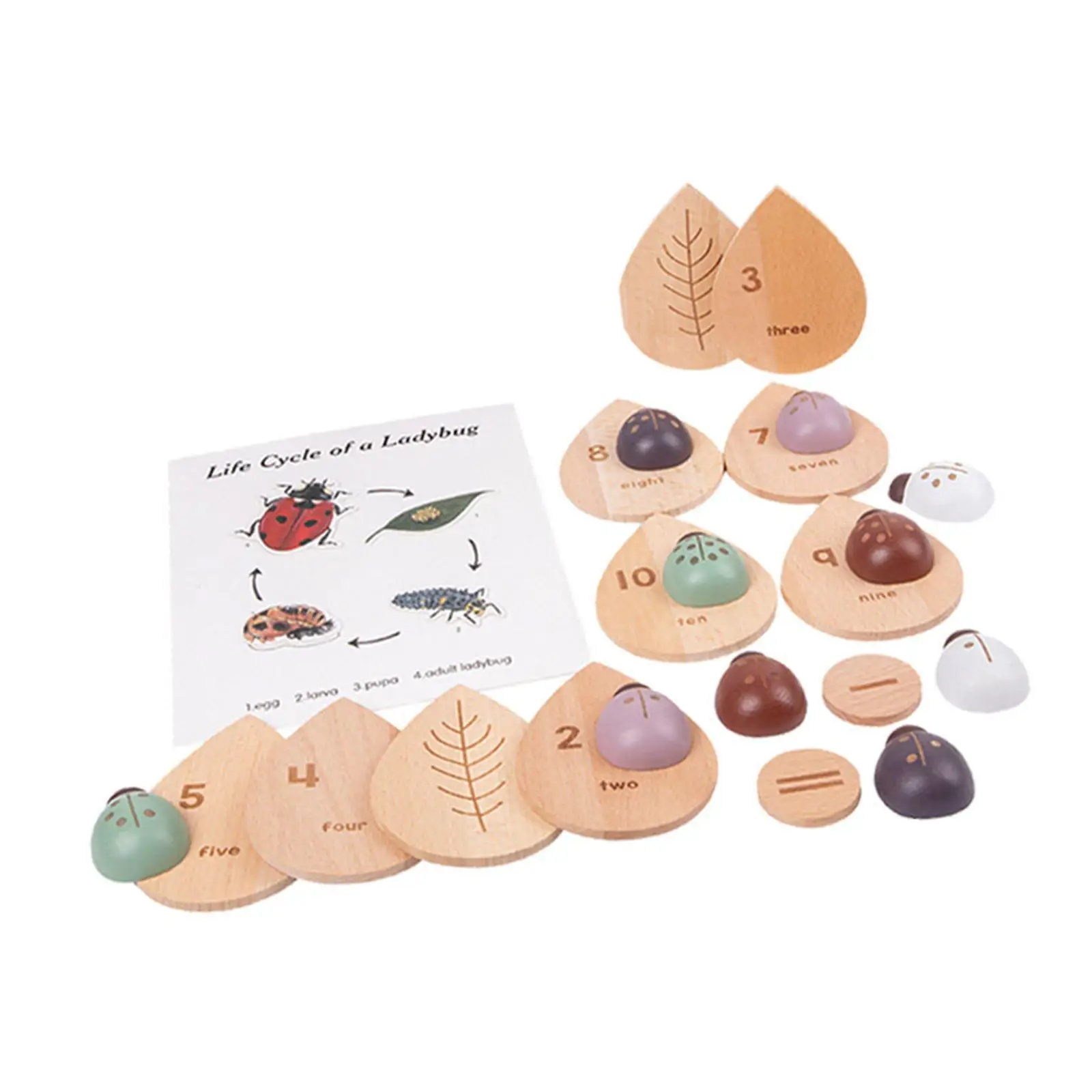 

Stem Counting Puzzle Toys Ladybugs Number Matching Creative for Ages 3+ Kids