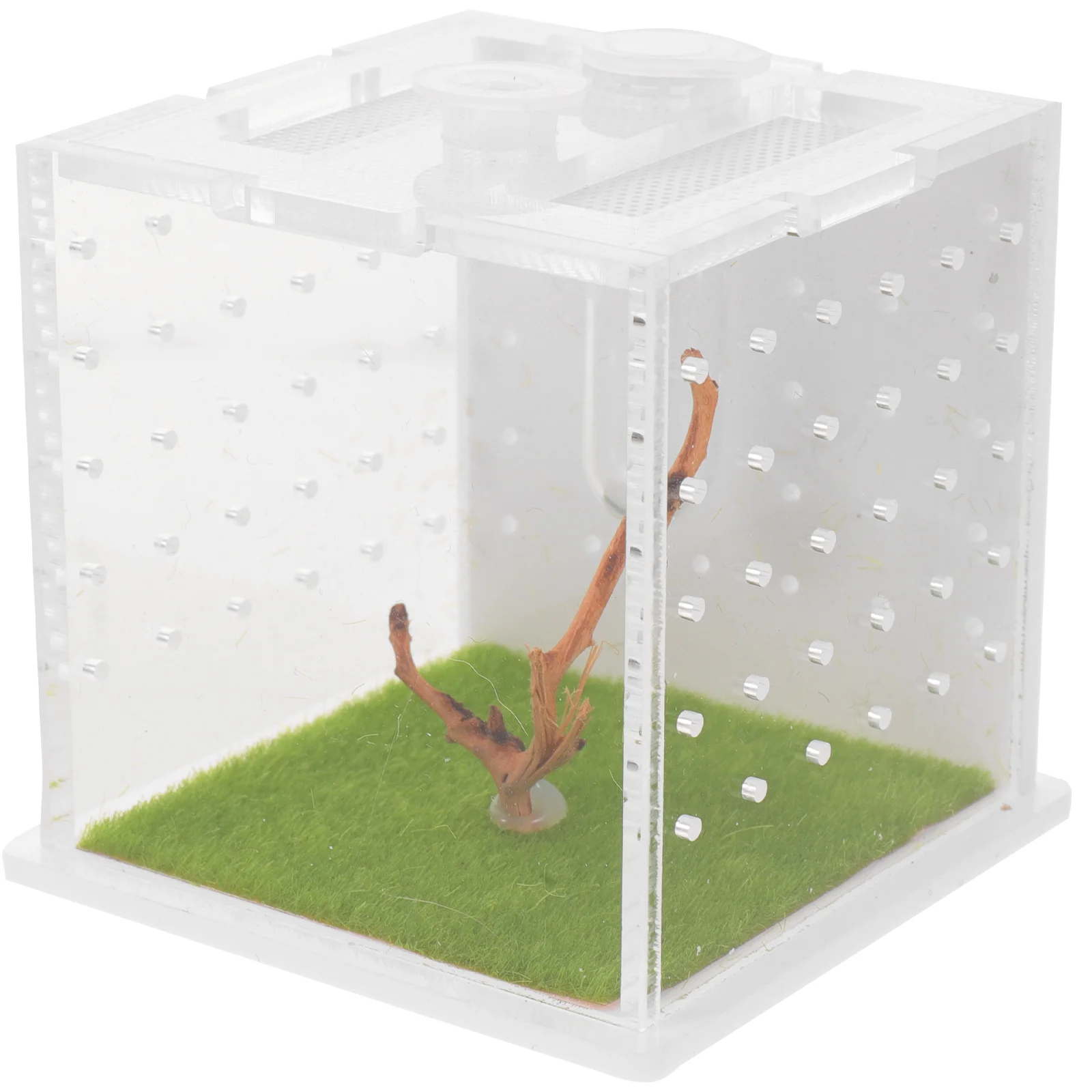 

Box Spider Container Enclosure Feeding Breeding Snail Habitat Jumping Acrylic Cage Reptiles Bugs Transparent Viewing Nsect Case