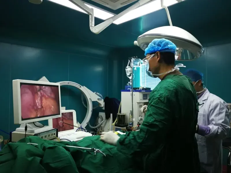 YKD-9003 Портативная эндоскопия FHD все в одном для ЛОР-клинического осмотра и