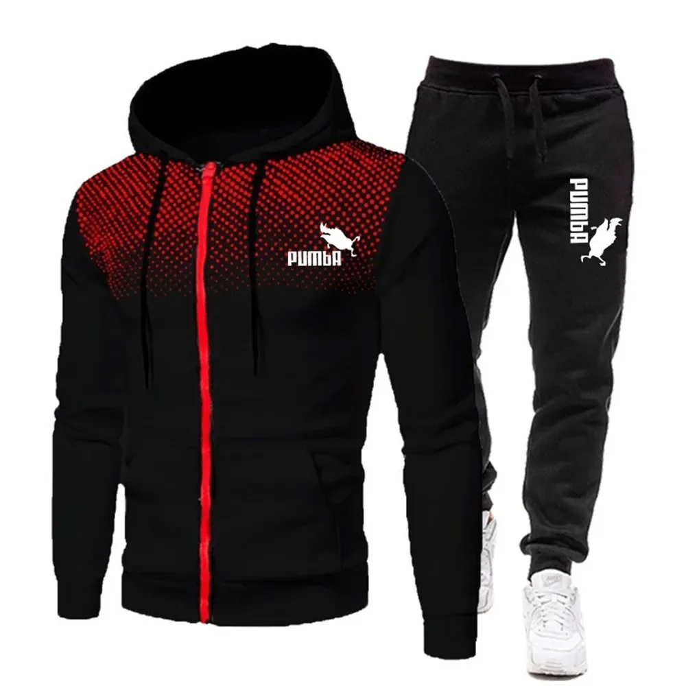 

Autumn Winter Discovery Men Suit New Brand Sports Printed Hoodie Sets Male Luxury Fleece Zip Casual Designer Sportswear Suits