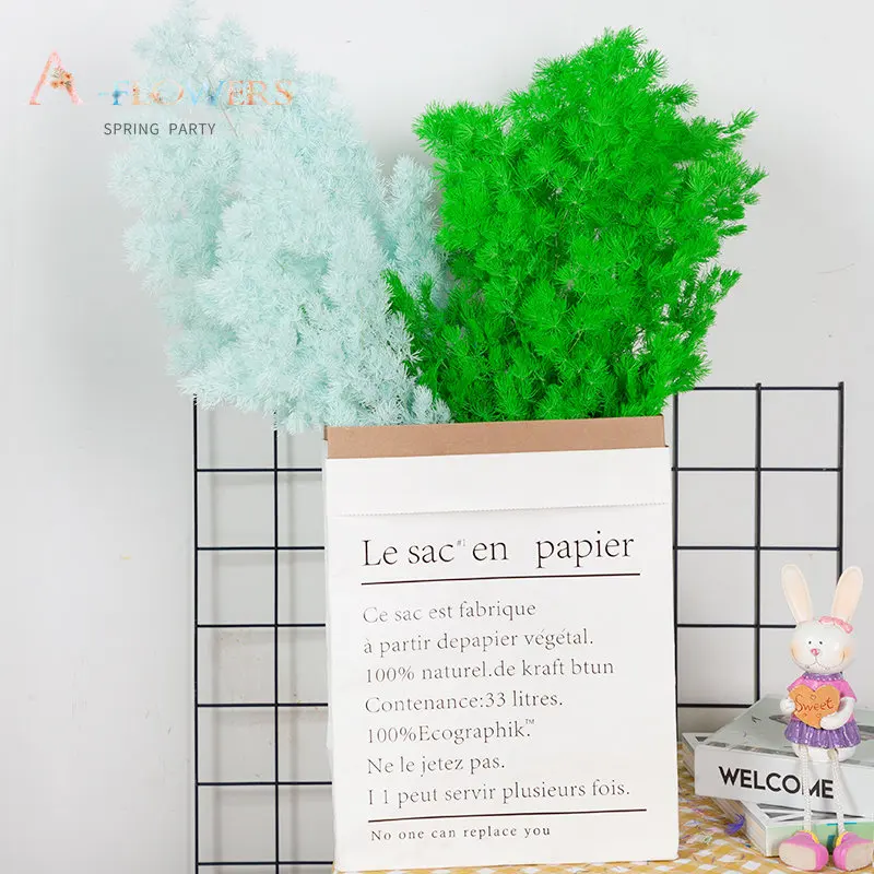 

30g Natural Penglai Song Dried Flowers Garden Wedding Decoration Aesthetic Asparagus Myriocladus Home Decor Father's Day Gift