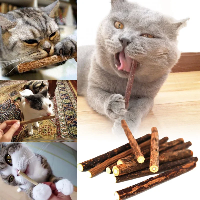 LUDA 5 шт. натуральный разноцветный Снэк для домашних питомцев, жевательная палочка для кошек, игрушка для лечения кошачьей мяты, молярная еда, мята для кошек