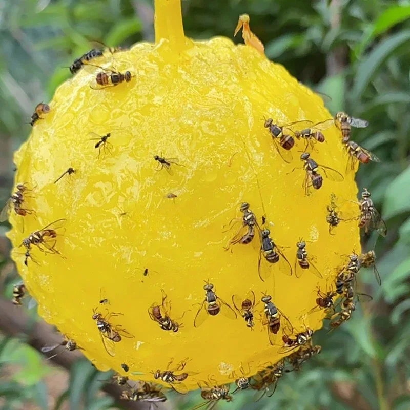 

Липкий шарик от насекомых