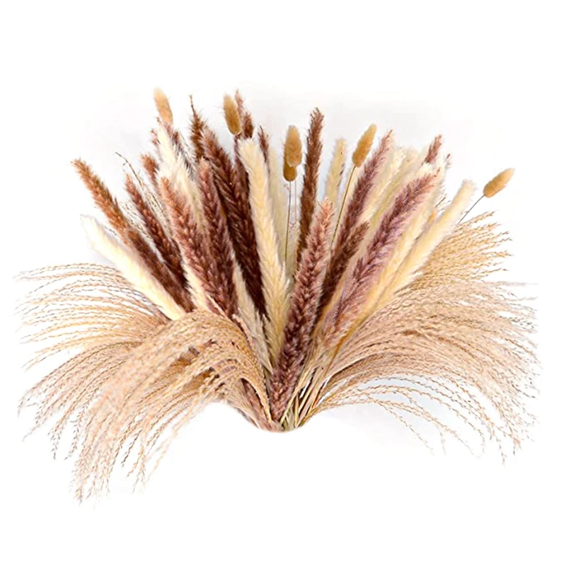 

70Pcs Pampas Grass, Natural Pampass Grass, Dried Pampas Grass For Flower Arrangements Boho Home Decor