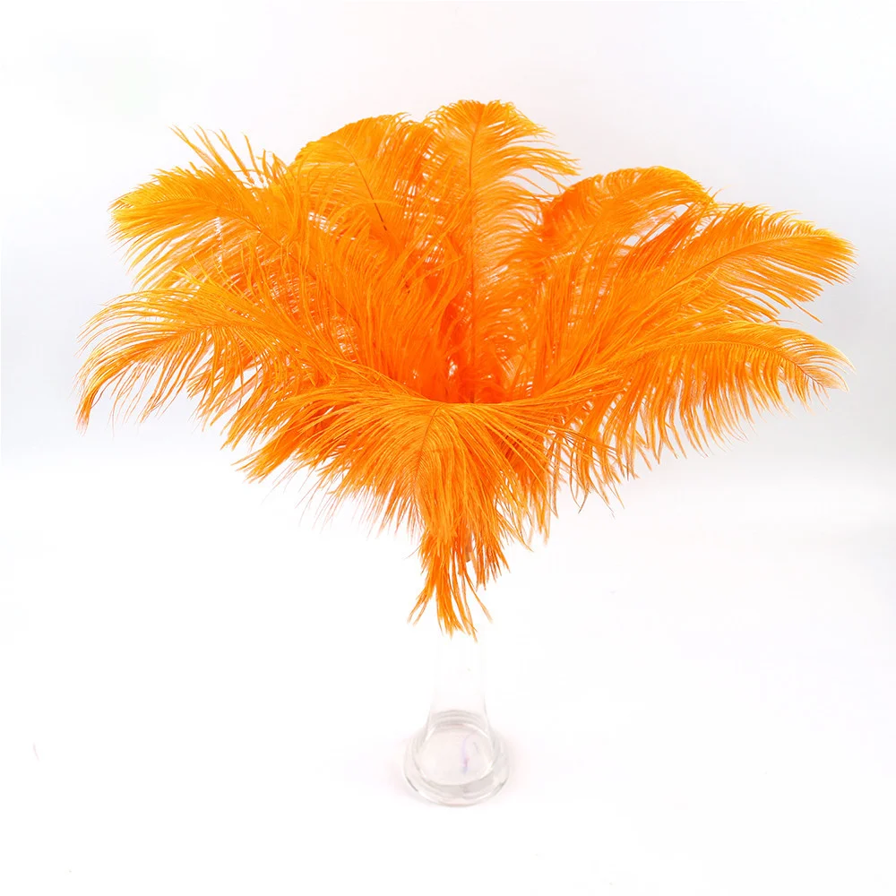 

20-25CM Natural Ostrich Feathers 10-500pcs Wedding Party Scene Layout Plumas Decoration Supplies Clothing Sewing Accessories
